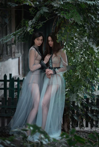 Two beautiful brunettes in fancy vintage dresses — Φωτογραφία Αρχείου