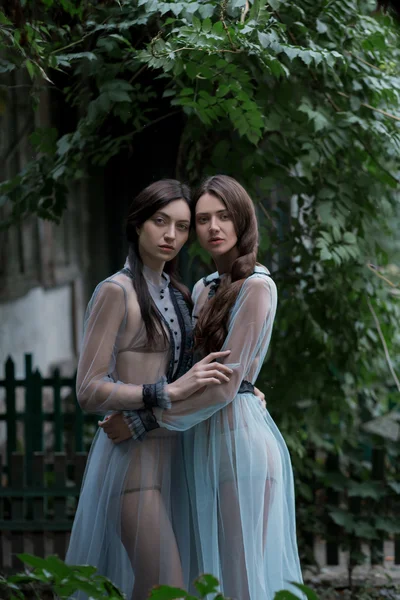 Two sexy brunettes in elegant vintage dresses — Stockfoto