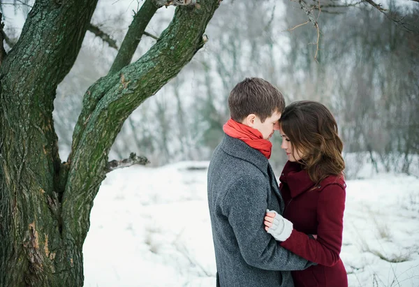 Aantrekkelijke jonge paar verliefd in de sneeuw Park — Stockfoto