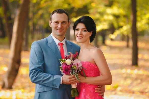 Amantes em Park, casamento . — Fotografia de Stock