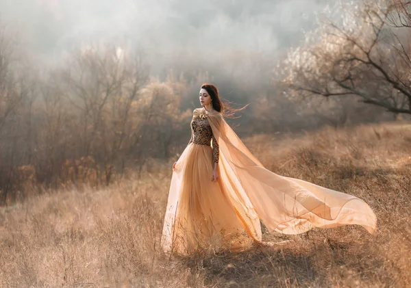 Vacker flicka i en lyxig klänning — Stockfoto