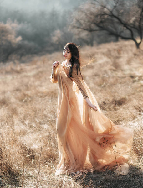 Pretty brunette girl walks in the forest . She is dressed in luxurious, golden dress. The wind playing with her hair and fabrics. The beautiful weather of autumn fog and sun.