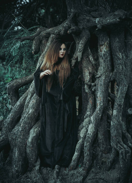 Beautiful large Halloween witch, wearing a vintage Gothic dress with long sleeves and sweeping train.Is in roots of terrible tree.Mystical.Fantastic shooting in wild.Fashionable toning.Creative color.