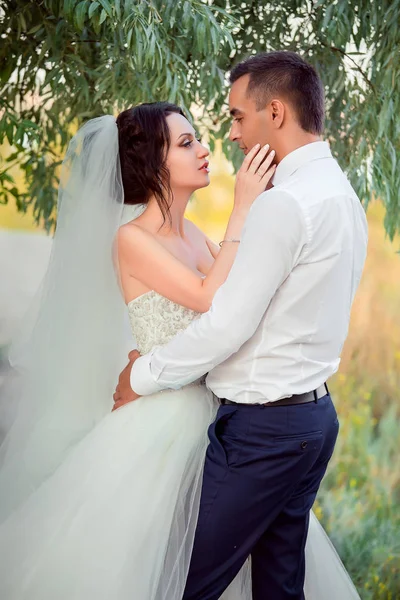 Amantes em Park, casamento . — Fotografia de Stock