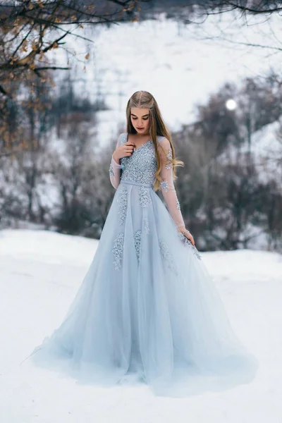 Lady in a luxury lush blue dress — Stock Photo, Image