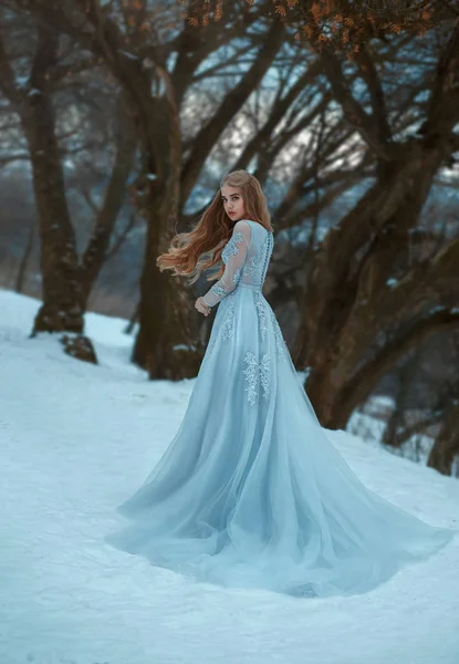 Senhora em um luxuoso vestido azul exuberante — Fotografia de Stock