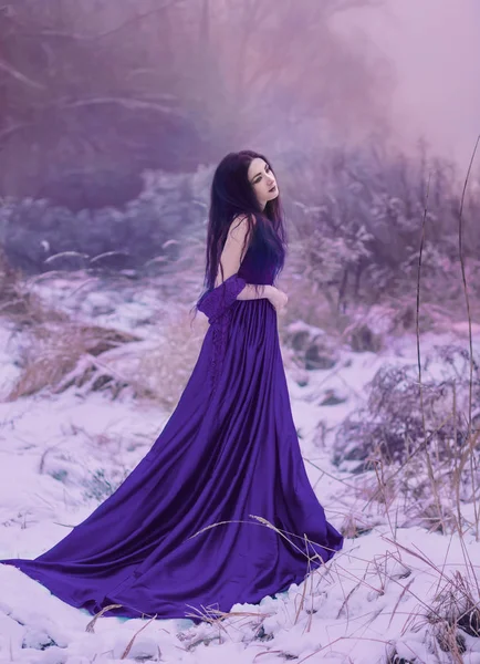 Dame dans une robe violette luxuriante de luxe — Photo