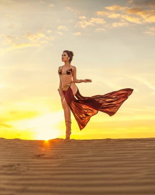 Leia Organa Solo Star Wars cosplay. 