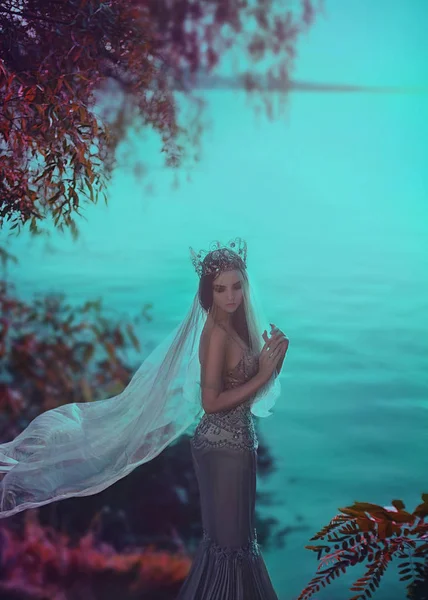 Gümüş elbisenin içinde genç prenses