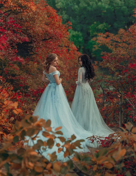 Due belle ragazze camminano nella natura autunnale — Foto Stock