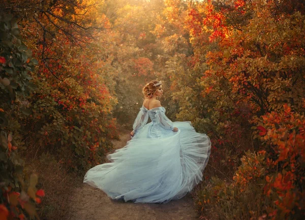 O tânără prințesă merge într-o rochie albastră frumoasă — Fotografie, imagine de stoc