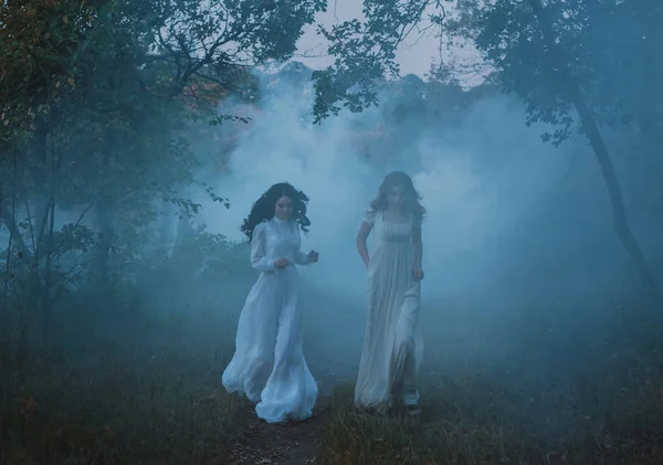 Duas meninas bonitas estão andando na natureza outono — Fotografia de Stock