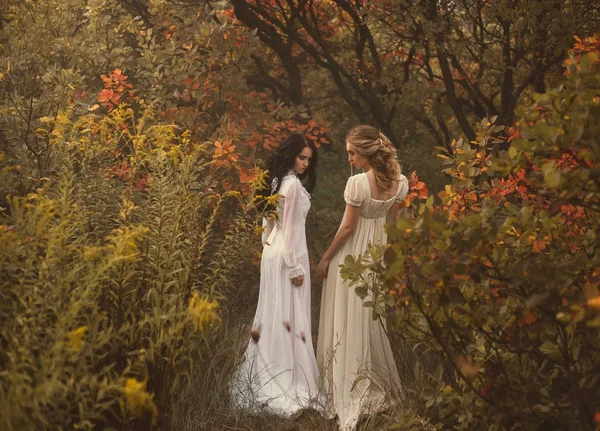 Dos hermosas chicas están caminando en la naturaleza de otoño — Foto de Stock