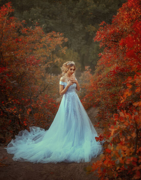 A young princess walks in a beautiful blue dress. The background is bright, golden autumn nature. Artistic Photography