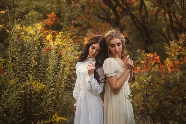 两个漂亮的女孩走在秋天的性质 — 图库照片