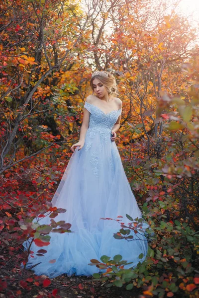 Een jonge prinses wandelingen in een mooie blauwe jurk — Stockfoto