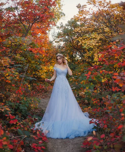 Молода принцеса гуляє в красивій блакитній сукні — стокове фото