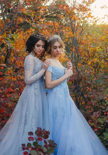 Två vackra prinsessan — Stockfoto