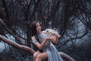 Orman büyücü bir kuş ile