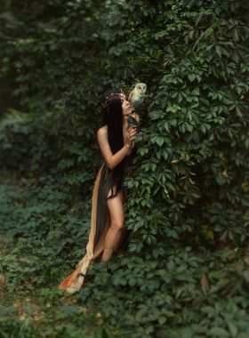 Orman büyücü bir kuş ile