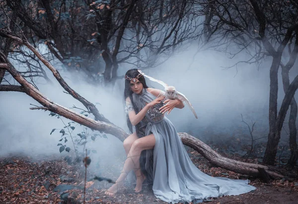 Forest sorceress with a bird — Stock Photo, Image