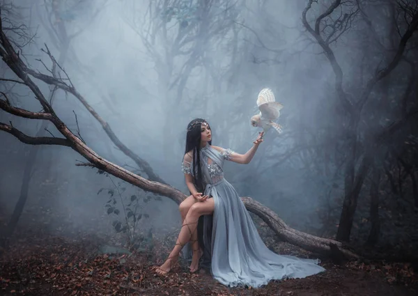 Forest sorceress with a bird — Stock Photo, Image