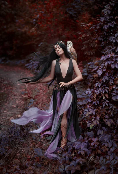 Orman büyücü bir kuş ile — Stok fotoğraf