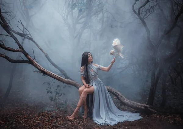 Forest sorceress with a bird Royalty Free Stock Images