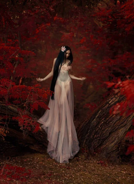 脆弱的女孩 在一个透明的礼服 不真实的长发 背景是火热的秋天 艺术摄影 — 图库照片