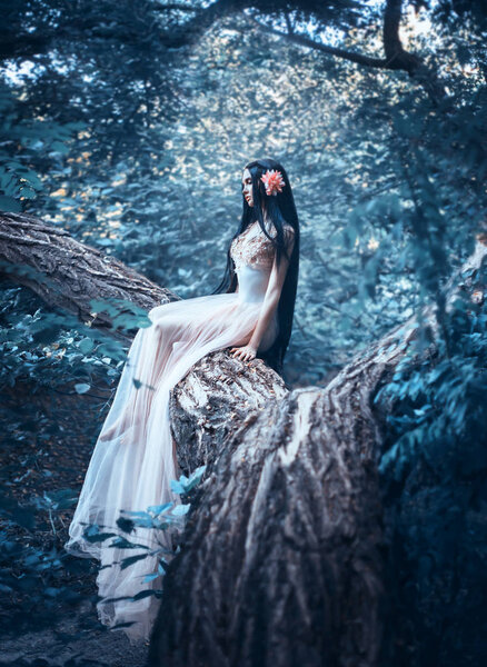 A fragile girl, in a transparent dress, sits on a tree. Unreal long hair. Artistic Photography
