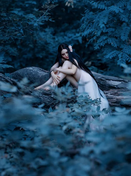 一个脆弱的女孩 穿着透明的衣服 坐在树枝上 不真实的长发 背景是火热的秋天 艺术摄影 — 图库照片