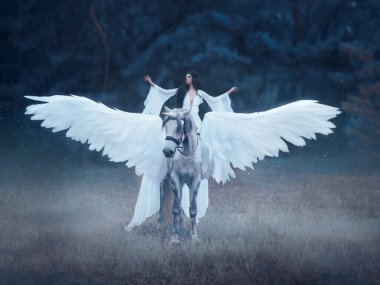 Güzel, genç bir unicorn ile yürüyüş elf.