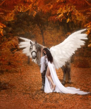 Güzel, genç bir elf, bir unicorn ile yürüme. O inanılmaz bir ışık, beyaz elbise giymiş. Kız ata yatıyor. Sanatsal fotoğraf