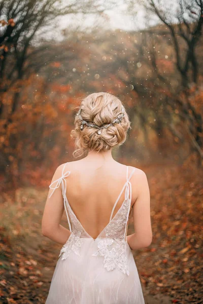 하얀 드레스를 입고 등을 벌린 신비하고 아름다운 아가씨. 그리스식으로 금발을 위한 우아하고 아름다운 신부용 머리 모양이다. 은으로 된 화려 한 왕관. 공주는 가을 숲의 환상을 즐긴다 — 스톡 사진