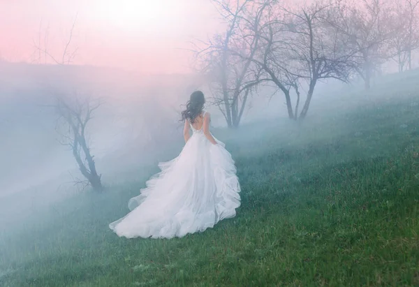 Királynő fut át a hegyeken a ködben naplemente hajnalán. köpeny csupasz háttal. — Stock Fotó