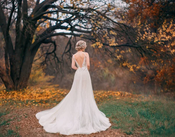 Young woman in long tulle lace white dress posing in fantasy autumn forest. — Stock Photo, Image