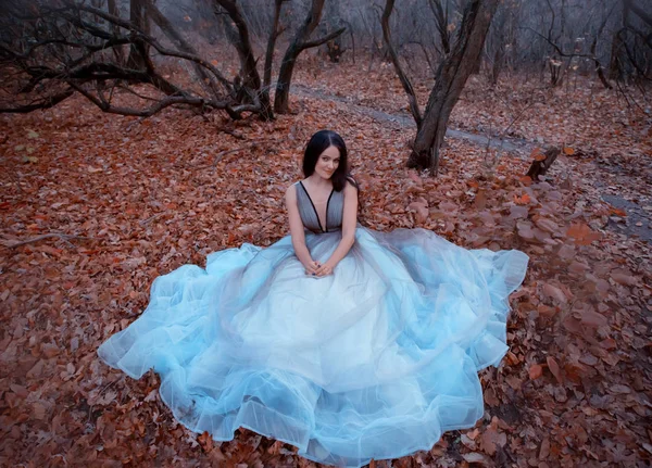 Stylish happy woman in a luxurious blue dress sits on ground in fallen orange leaves. Background autumn evening park with silhouettes of dark trees. Long Wavy Black hair. Smile on an attractive face. — Stock Photo, Image