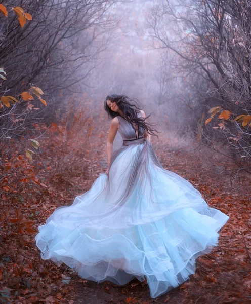 Bella donna di fantasia che gira nella danza. Stile di lusso arte lussureggiante vestito blu. Capelli lunghi neri che volano svolazzano nel vento in movimento. Principessa passeggiate foresta autunnale. sfondo nebbia alberi nudi caduto foglie d'arancio — Foto Stock