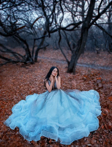 Vonzó szexi nő egy luxus kék ruhában ül a földön, mint a virág. Lehullott narancs levelek, csupasz fák. Mesebeli hercegnő a gótikus őszi erdőben. Vintage stílus. hosszú fekete haj. élvezi a természetet — Stock Fotó