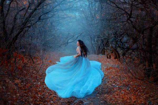 Mysterious attractive woman in luxurious puffy blue dress runs away looks back. fabulous Princess in gothic autumn forest. Silk Fabric and dark long hair flutter in motion. Fog, orange fallen leaves.