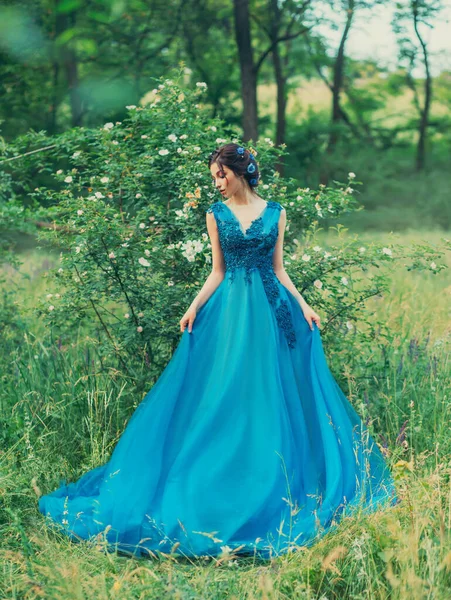 Ragazza misteriosa tiene vestito entrambe le mani. foresta verde. arbusto bianco fiori blu gonfio pizzo abito da sera. capelli decorati con fiordaliso. Elegante acconciatura bruna. primavera estiva. palla di festa. arte — Foto Stock