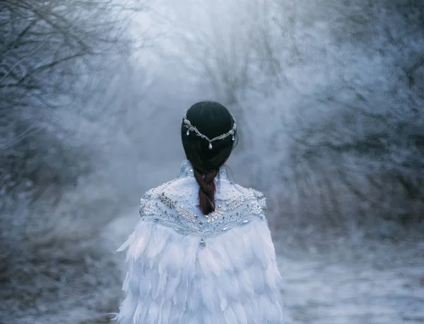 Porträtt flicka med svart hår i vinterskogen. Frisyr är dekorerad ljusa glänsande tiara. Prinsessan vände sig bort i vit kreativ karnevalskappa Snödrottning med fågelfjädrar. Bakgrund fryst natur — Stockfoto