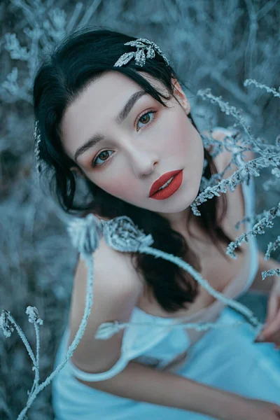 Portrait of forest princess with long black hair in winter nature. Hairstyle decorated tiara. Girl in blue sexy dress evening makeup natural cosmetics red lips brown eyes. Backdrop icy grass hoarfrost — Stock Photo, Image