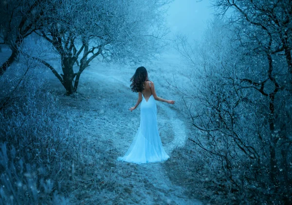 Mujer en blanco creativo sexy vestido largo tren sik espalda desnuda paseos en el bosque de fantasía de invierno. Reina de la nieve dio la espalda, pelo moreno viento mosca. Fondo árbol negro troncos ramas hierba cubierta helada niebla —  Fotos de Stock