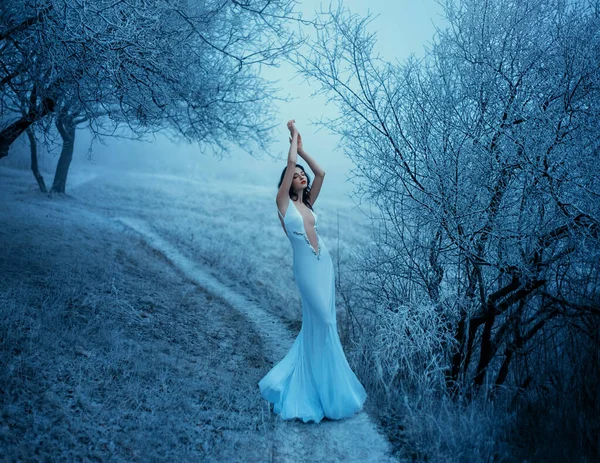 Στ) σιτηρά. Χειμερινή Ομορφιά. Χριστουγεννιάτικα γυναικεία ρούχα. Σέξι γοργόνα σιλουέτα νυφικό Snow Queen High Fashion. Μπλε παγωμένο δέντρο ομίχλη φύση Backdrop. Αντιγραφή χώρου για το κείμενό σας — Φωτογραφία Αρχείου