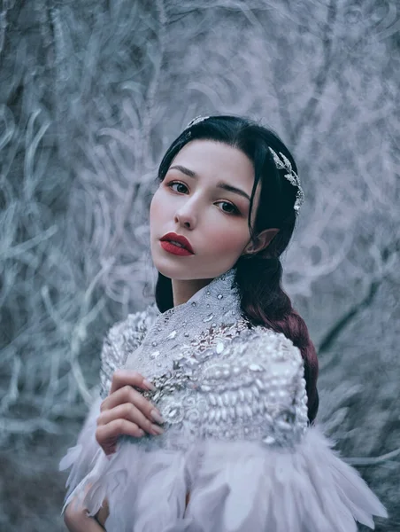 Cute portrait shoot lady Snow Queen style, creative clothes costume cape silver precious stones rhinestones. angel face eyes, delicate hairstyle makeup red juicy lips perfect skin. Frozen ice branches Stock Photo