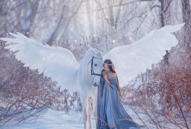 Genç ve güzel tanrıça Pegasus 'u okşuyor, beyaz sihirli kanatlar. Esmer, uzun, dalgalı peruk. Ortaçağ prensesi giysi pelerini. elf gümüş diyadem tacı. Kış doğası karlı orman