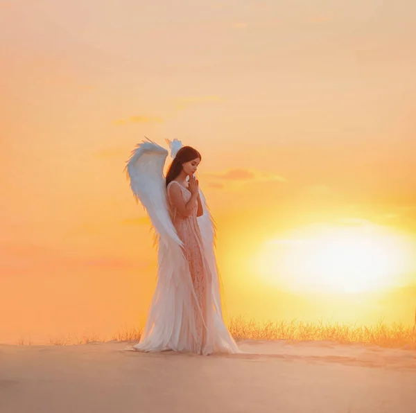 Silhueta jovem anjo mulher fica no deserto rezando. Roupas de traje de design glamour criativo com penas de asas de pássaro. Cor amarela brilhante pôr-do-sol céu dramático. Foto Atire Divino Espírito de Fada — Fotografia de Stock