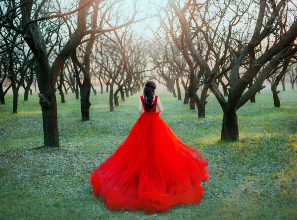 Mysterious beauty silhouette medieval happy woman. long red dress train. Princess walks in spring forest. bare autumn black tree divine sun rays. Young vintage queen enjoys green nature Rear view back