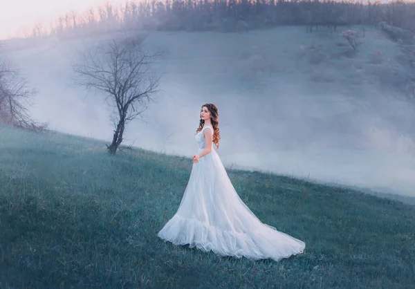 Jeune belle femme brune dame se promène dans la prairie des collines printanières dans le brouillard à l'aube du printemps. Luxe élégante princesse vintage robe de mariée blanche. Reine d'art dame vêtements médiévaux. automne mystique froid nature — Photo